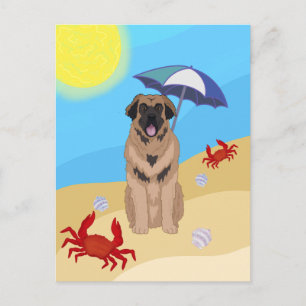 Leonberger Beach Postkarte
