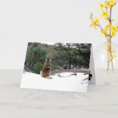 Leonberger Beileidskarte Karte (Gelbe Blume)