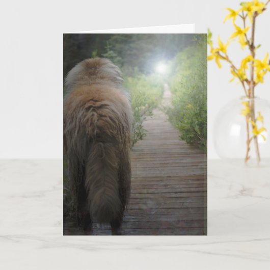 Leonberger Beileidskarte Karte (Gelbe Blume)