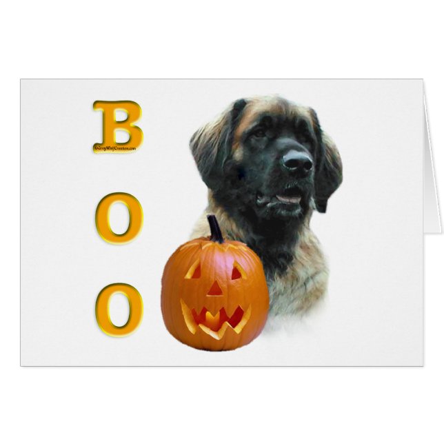Leonberger Boo (Vorderseite (Horizontal))