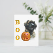 Leonberger Boo Postkarte (Stehend Vorderseite)