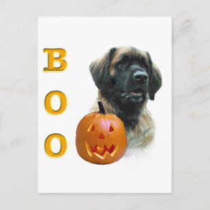 Leonberger Boo Postkarte