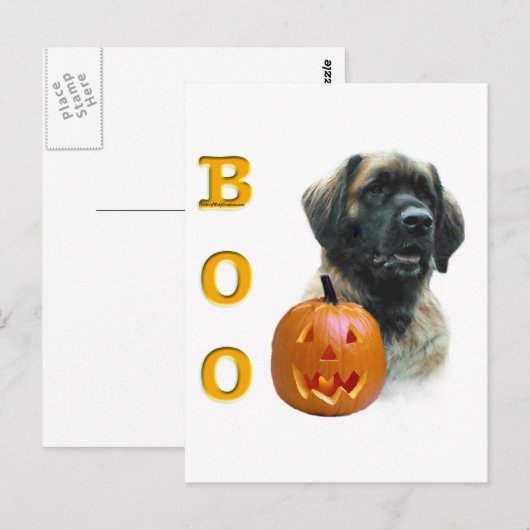 Leonberger Boo Postkarte (Vorne/Hinten)