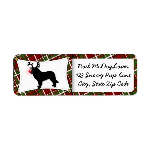 Leonberger Christmas (Vorne)