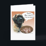 Leonberger die Türkei Feiertagskarte<br><div class="desc">Wie können Sie am niedlichen u. unschuldigen Gesicht Ihrer HUNDEZUCHTVERBAND-Zucht Leonberger wütend werden,  wie er verweigert,  den Erntedank die Türkei zu essen? Holen Sie diesen Erntedank-Hundeentwurf zu Ihrer folgenden Mahlzeit.</div>