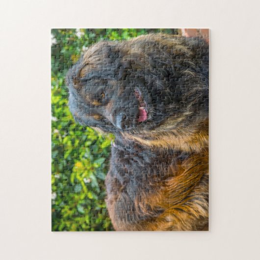 Leonberger Dog Breed Jigsaw. Puzzle (Vertikal)