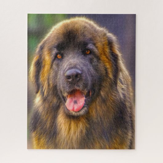 Leonberger Dog Breed Jigsaw. Puzzle (Vertikal)