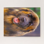 Leonberger Dog Breed Jigsaw. Puzzle (Horizontal)