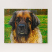 Leonberger Dog Breed Jigsaw. Puzzle (Horizontal)