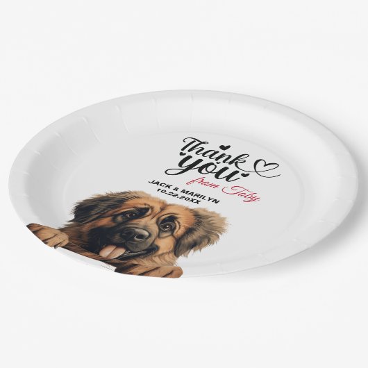 Leonberger Dog Pappteller (Schrägansicht)