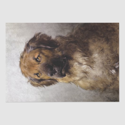 Leonberger Dog von Otto Eerelman Seidenpapier (Vorderseite)