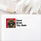 Leonberger Farbblock (Insitu)