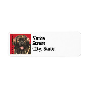 Leonberger Farbblock