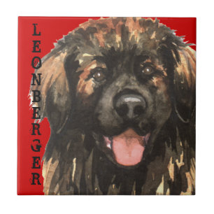 Leonberger Farbblock Fliese