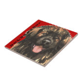 Leonberger Farbblock Fliese (Seite)