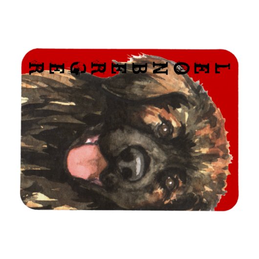 Leonberger Farbblock Magnet (Horizontal)