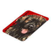 Leonberger Farbblock Magnet (Linke Seite)