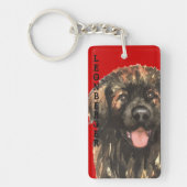 Leonberger Farbblock Schlüsselanhänger (Vorderseite)