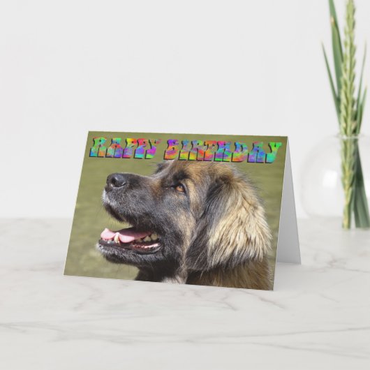 Leonberger Geburtstagskarte Karte (Vorderseite)