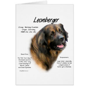 Leonberger Geschichtsdesign
