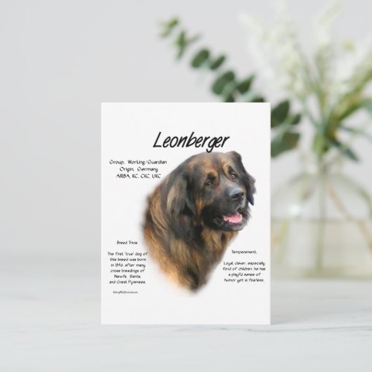 Leonberger Geschichtsdesign Postkarte (Stehend Vorderseite)