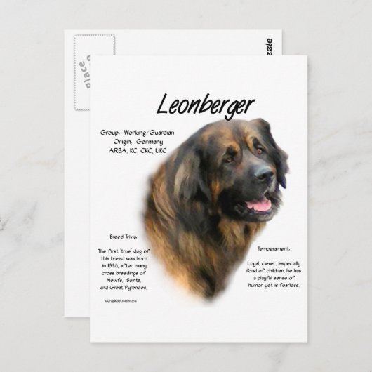 Leonberger Geschichtsdesign Postkarte (Vorne/Hinten)