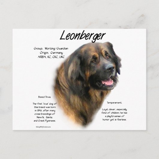 Leonberger Geschichtsdesign Postkarte (Vorderseite)