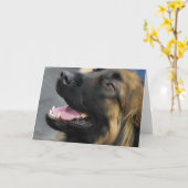 Leonberger Gruß-Karte Karte (Gelbe Blume)
