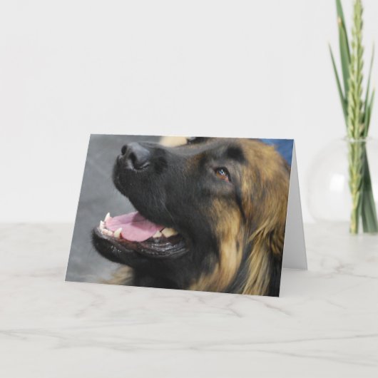 Leonberger Gruß-Karte Karte (Vorderseite)