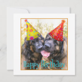Leonberger Happy Geburtstag Dankeskarte