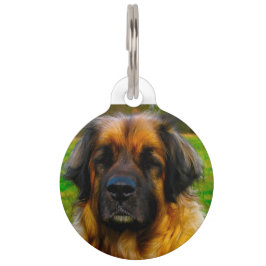 Leonberger Hund. Haustiermarke