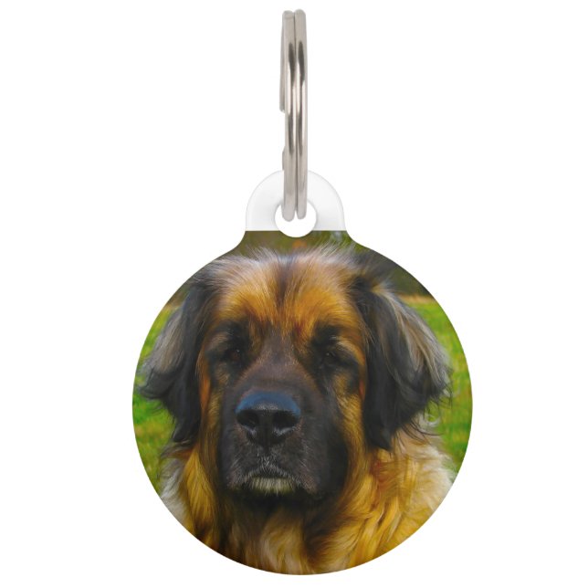 Leonberger Hund. Haustiermarke (Vorderseite)