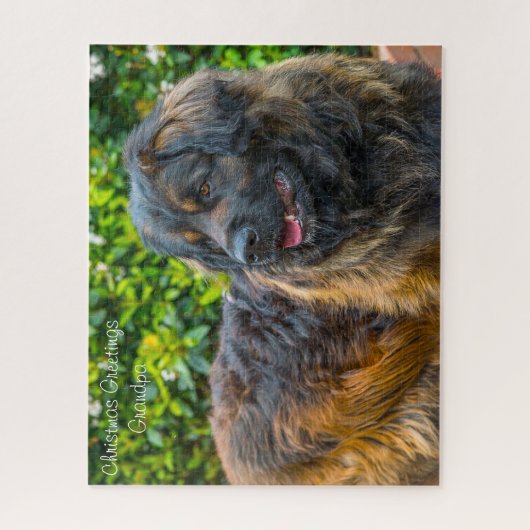 Leonberger Hund. Puzzle (Vertikal)