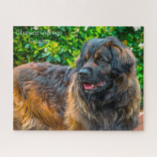 Leonberger Hund. Puzzle