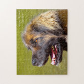 Leonberger Hund. Puzzle (Vertikal)