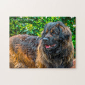 Leonberger Hund. Puzzle (Horizontal)
