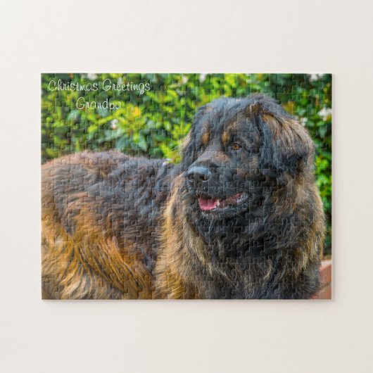 Leonberger Hund. Puzzle (Horizontal)