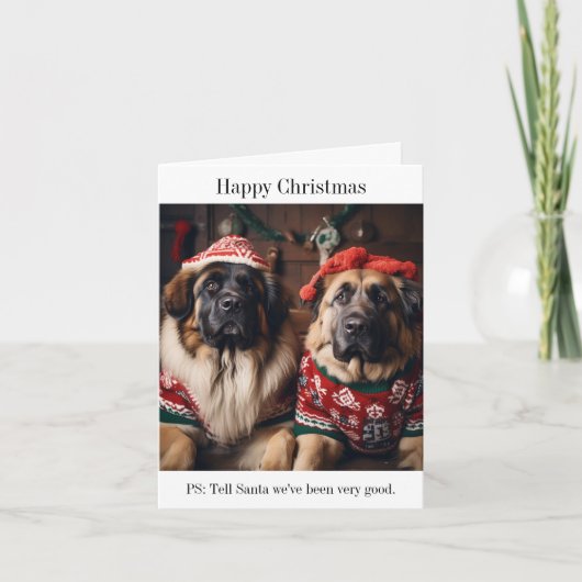 Leonberger Hunde in Weihnachts-Sweaters Karte (Vorderseite)