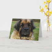 Leonberger Hundegeburtstagskarte Karte (Gelbe Blume)