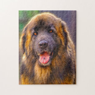 Leonberger-Hunderasse-Puzzle. Puzzle
