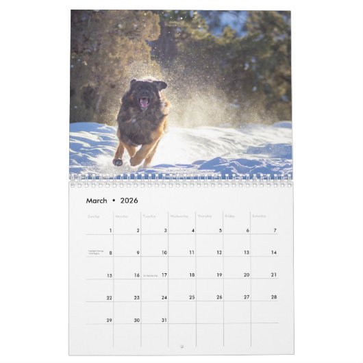 Leonberger Joy Kalender (Mär 2026)
