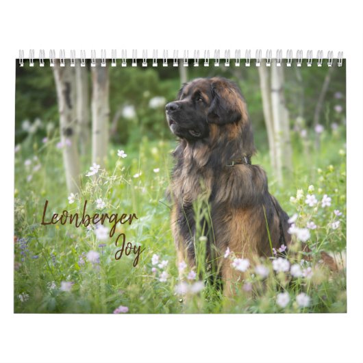 Leonberger Joy Kalender (Titelbild)