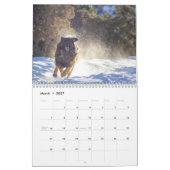 Leonberger Joy Kalender (Mär 2027)
