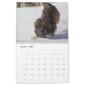 Leonberger Joy Kalender (Jan 2027)