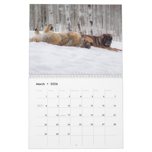 Leonberger Kalender (Mär 2026)