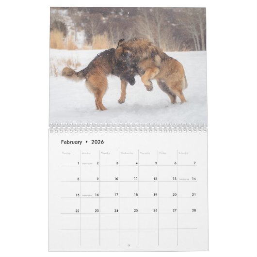 Leonberger Kalender (Feb 2026)