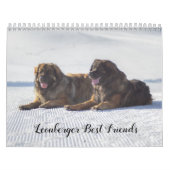 Leonberger Kalender (Titelbild)