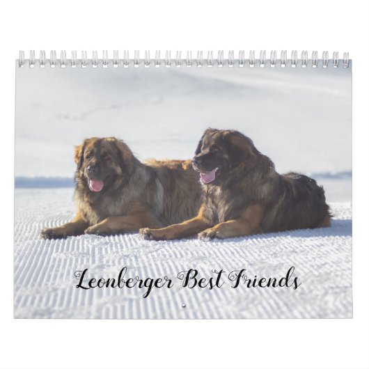 Leonberger Kalender (Titelbild)