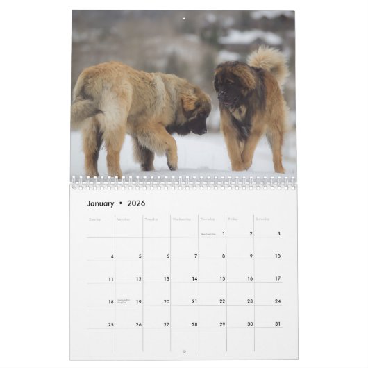Leonberger Kalender (Jan 2026)
