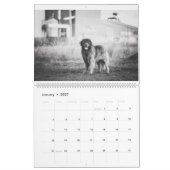 Leonberger Kalender (Jan 2027)